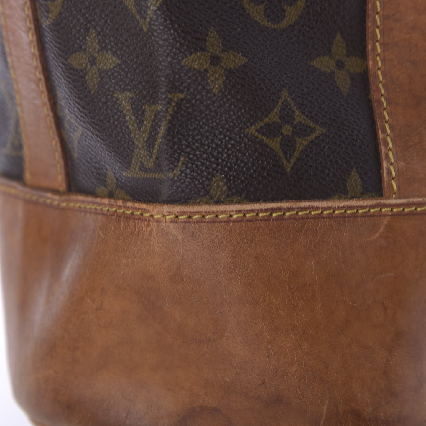 Monogram Randonnee GM Backpack