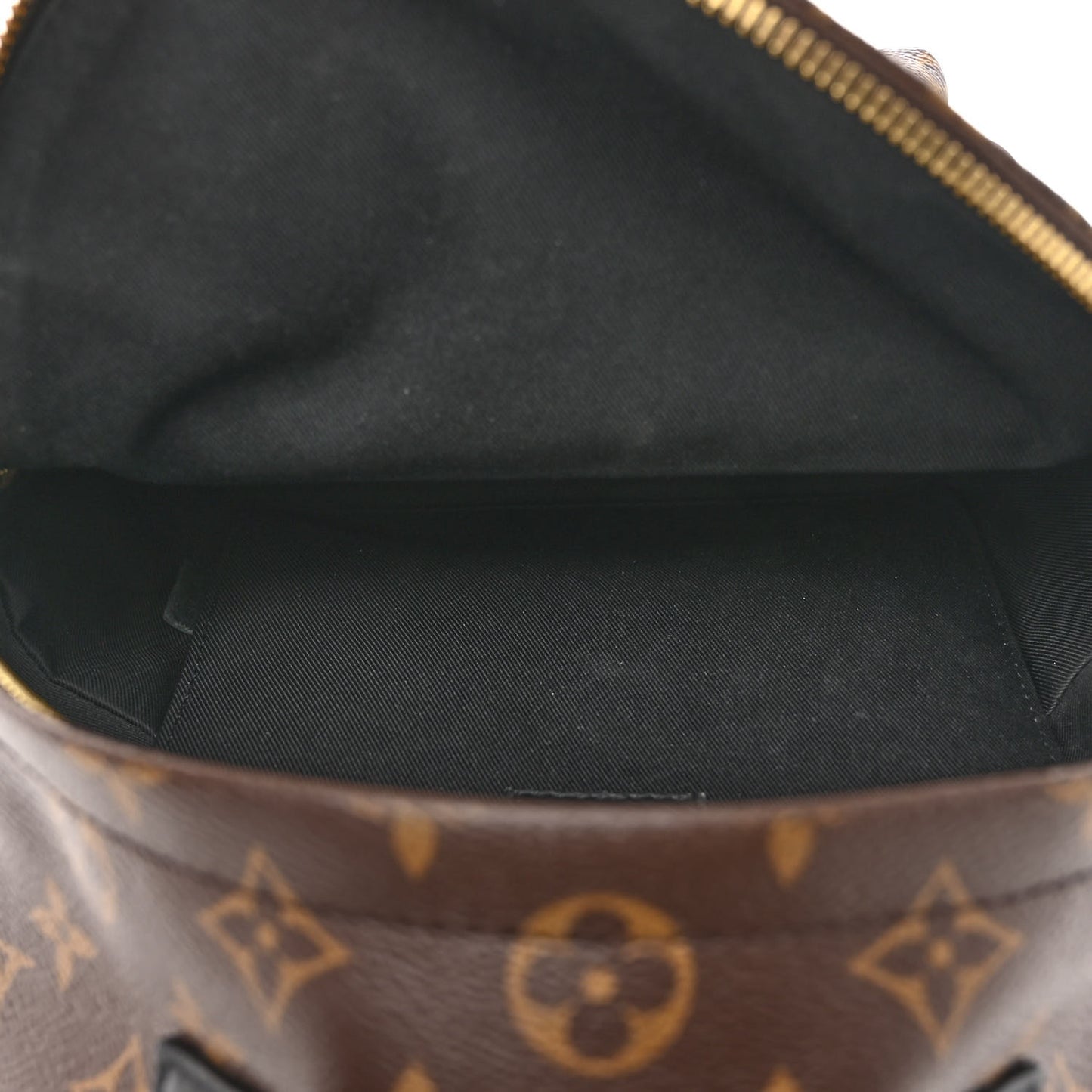 Monogram Palm Springs Backpack PM