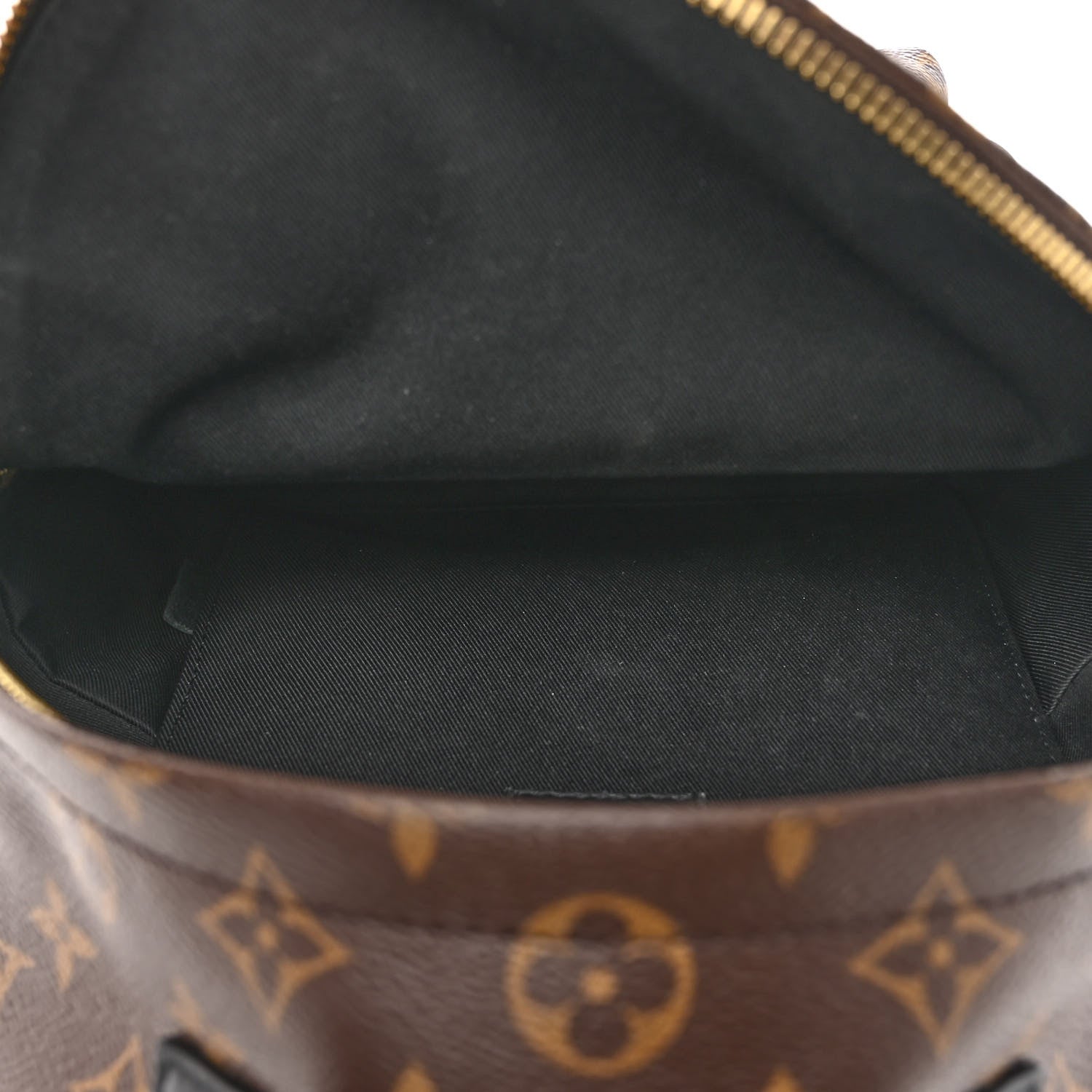 Louis Vuitton Monogram Palm Springs Backpack PM 5 of 9