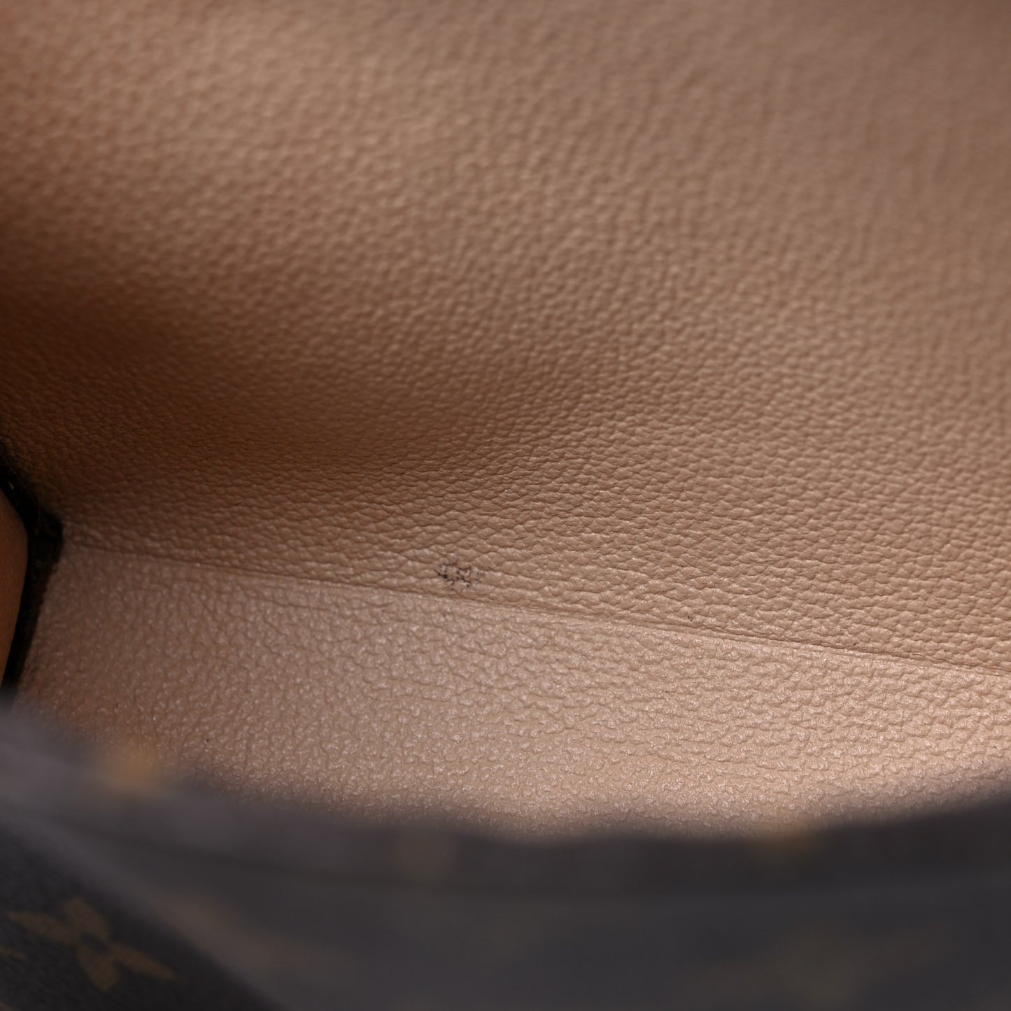 Monogram Toiletry Pouch 19