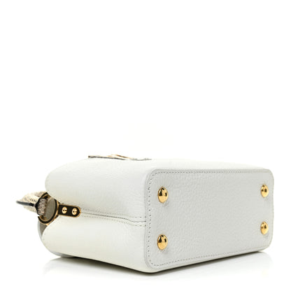Louis Vuitton Taurillon Ayers Capucines Mini White Snow White 4 of 10