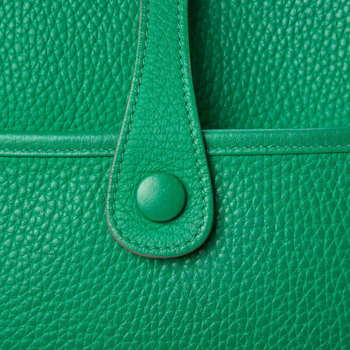 Taurillon Clemence Evelyne III PM Vert Menthe