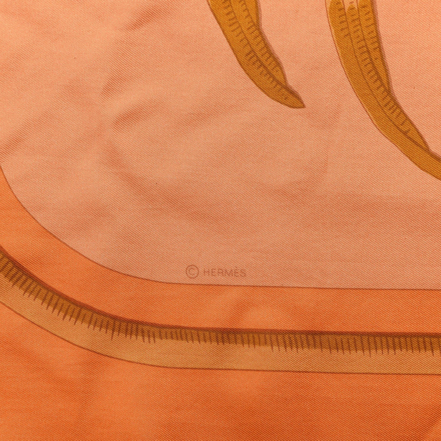 Hermes Silk Dip Dye Tigre Royal Shawl 140 3 of 4