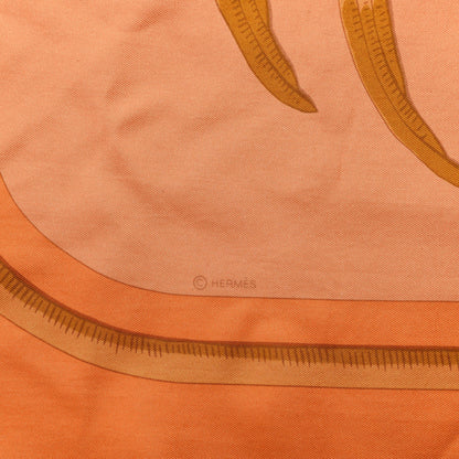 Hermes Silk Dip Dye Tigre Royal Shawl 140 3 of 4