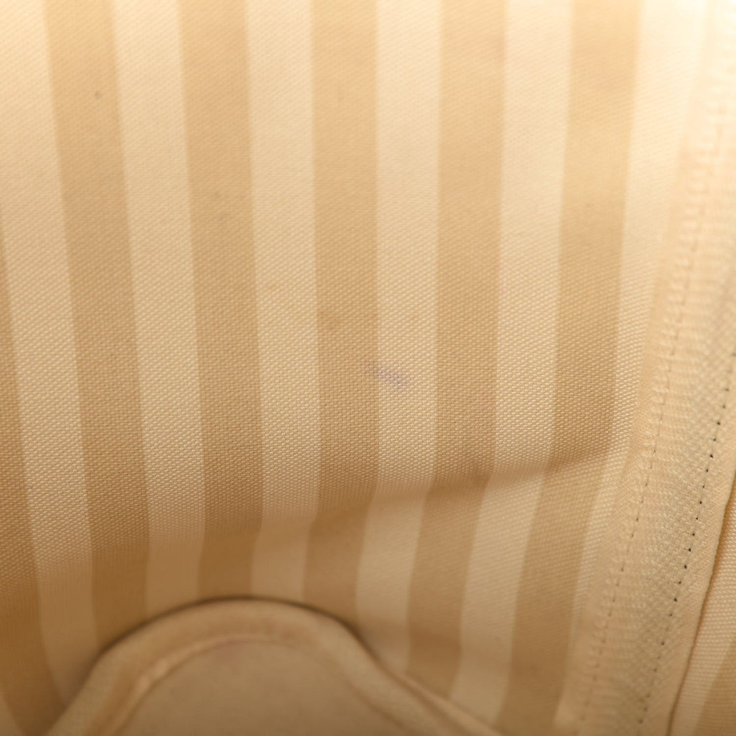 Monogram Rayures Neverfull MM