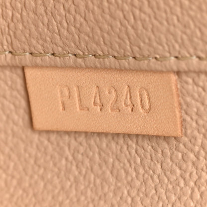 Louis Vuitton Monogram Nano Nice 7 of 7