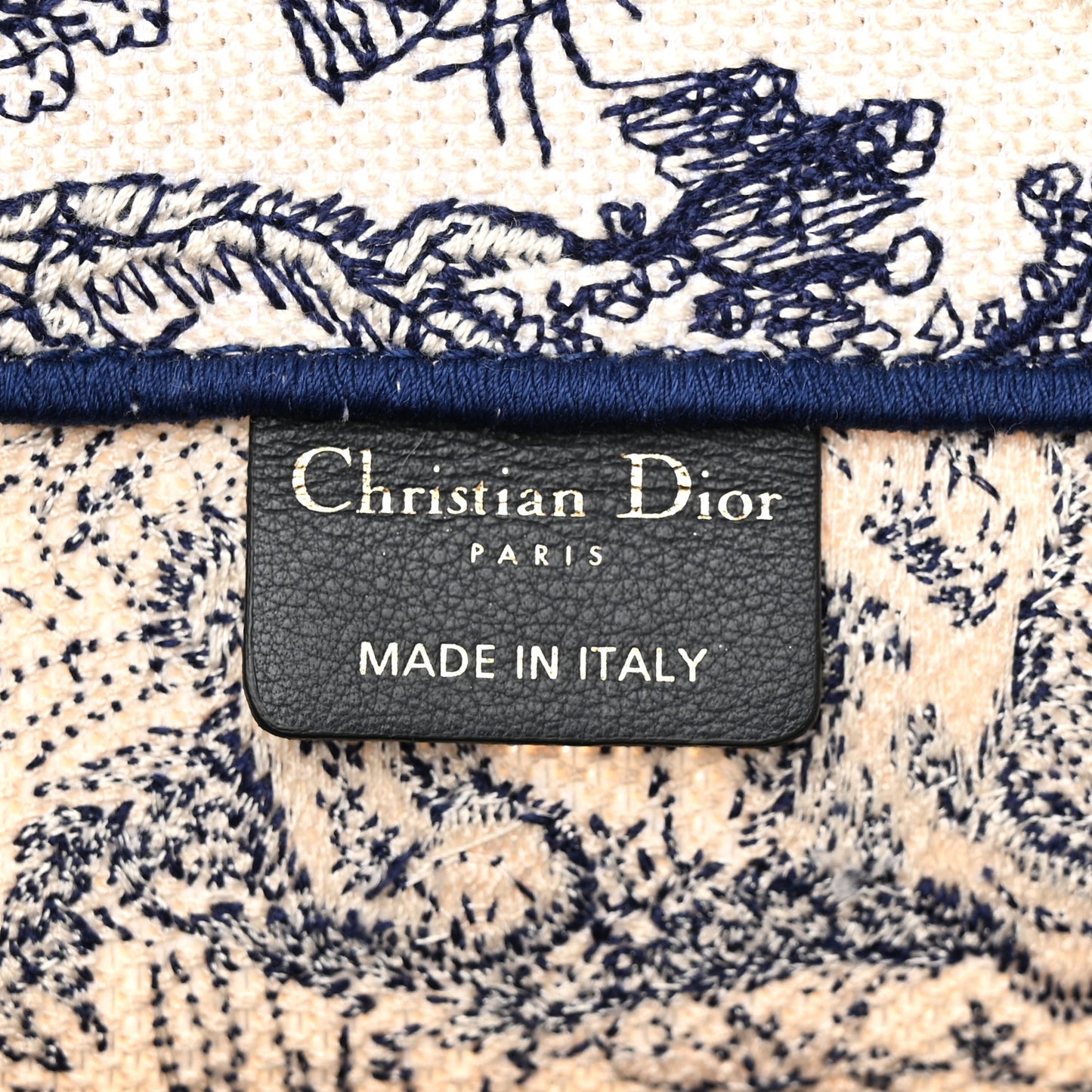 Canvas Embroidered Medium Dioriviera Toile De Jouy Book Tote Blue