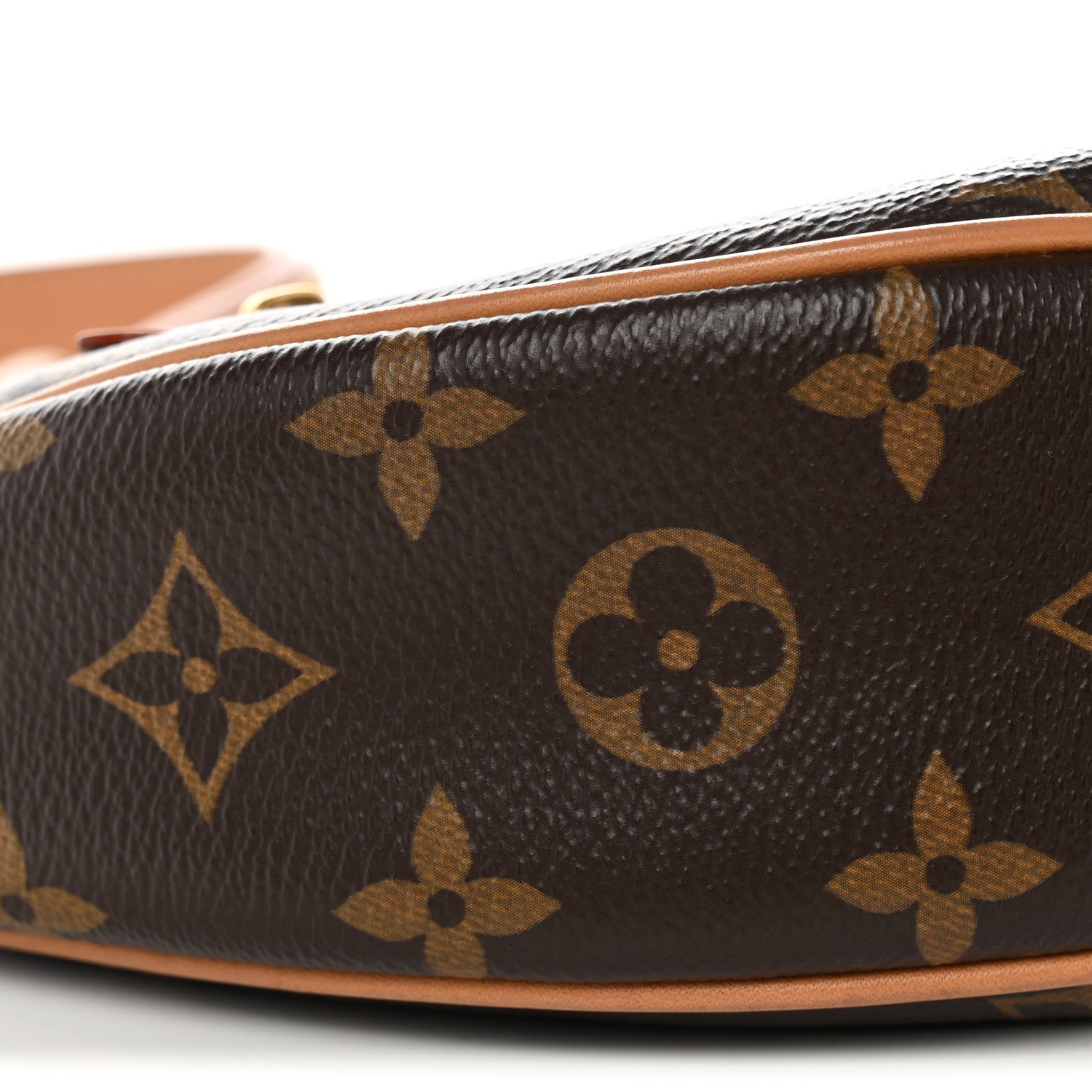 Louis Vuitton Monogram Loop 8 of 9