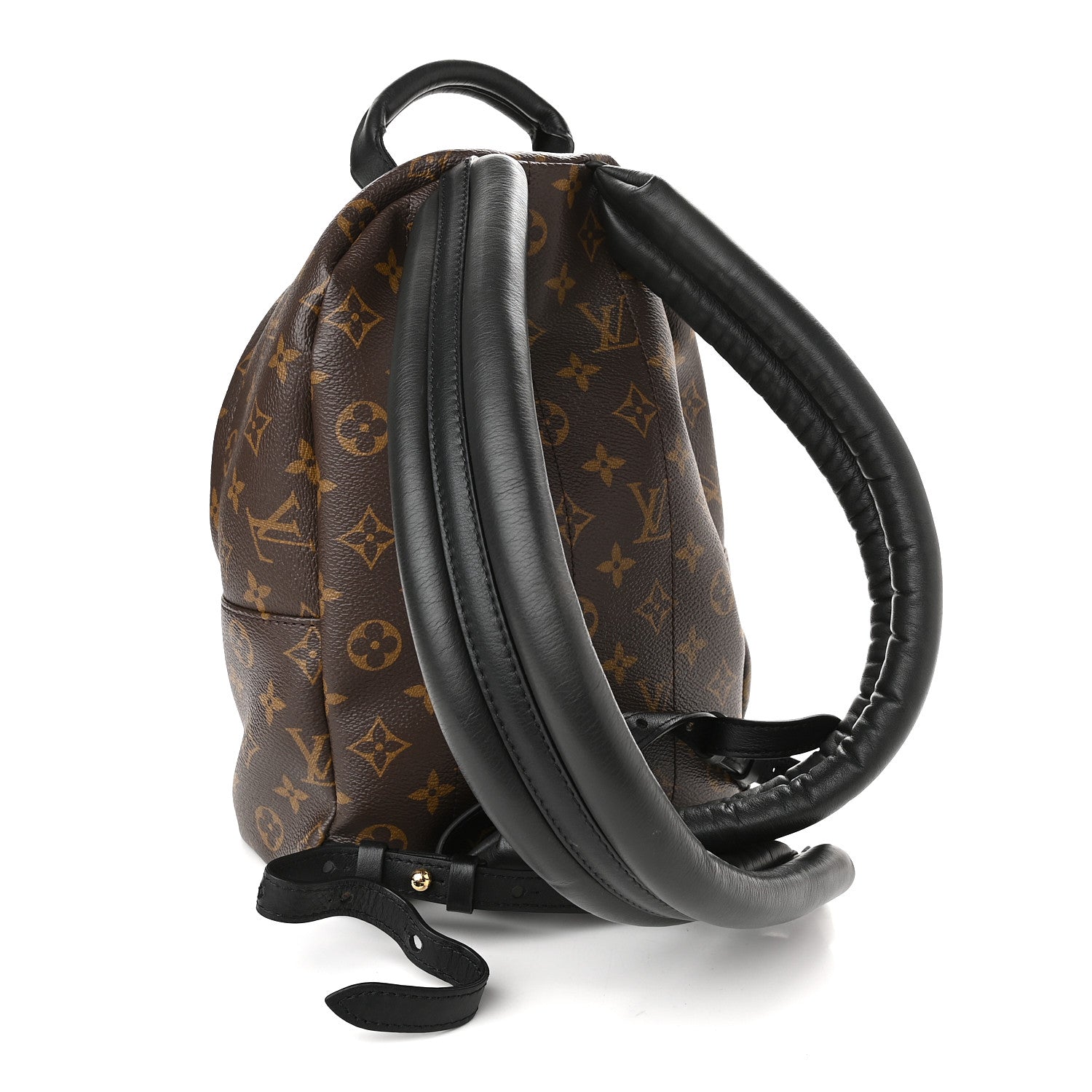 Louis Vuitton Monogram Palm Springs Backpack PM 3 of 9