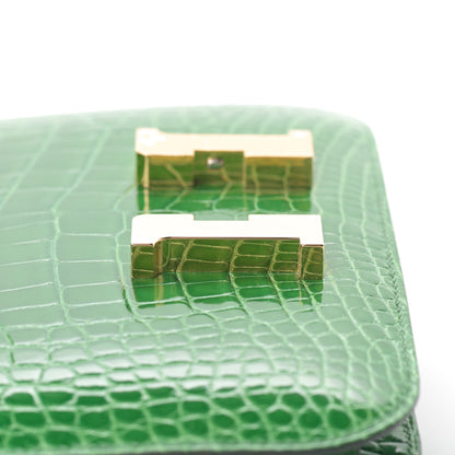Hermes Shiny Alligator Constance 18 Cactus 13 of 21