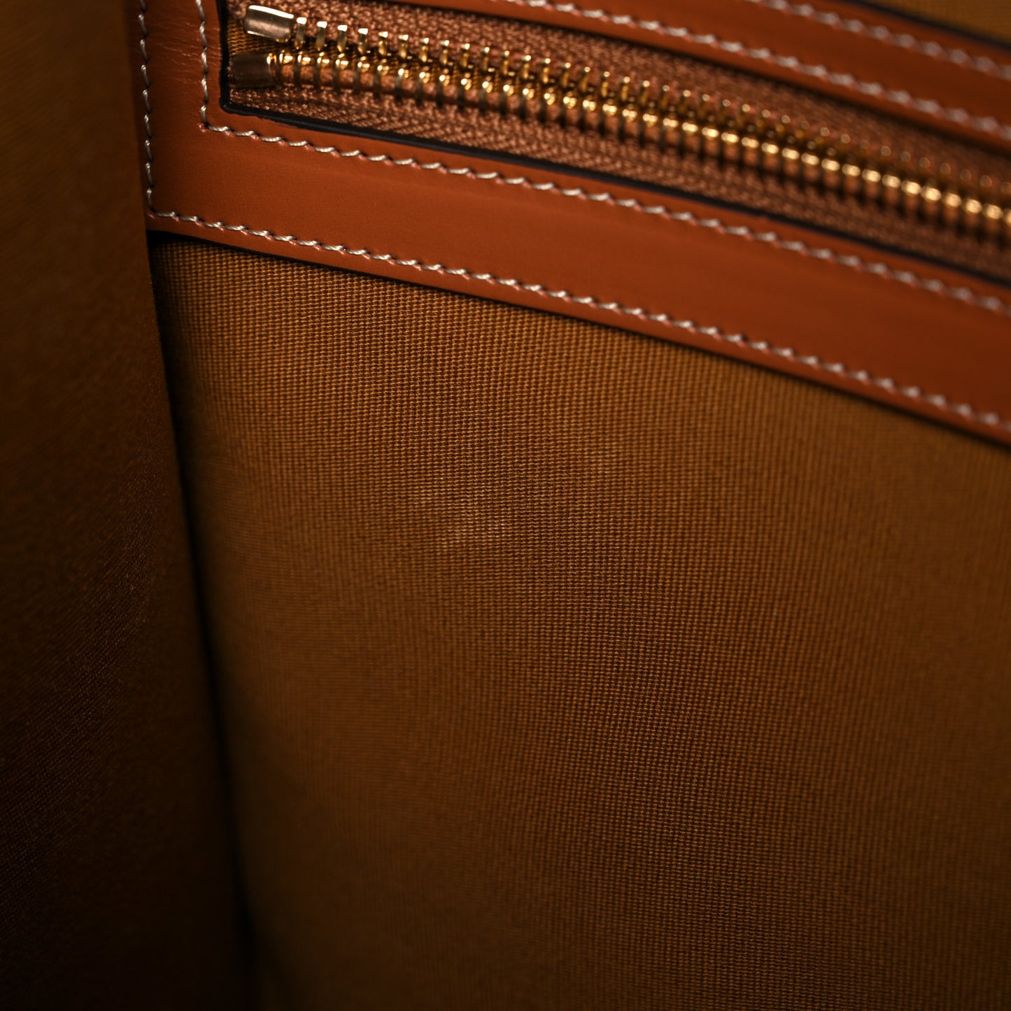 Triomphe Canvas Calfskin Horizontal Cabas Tan