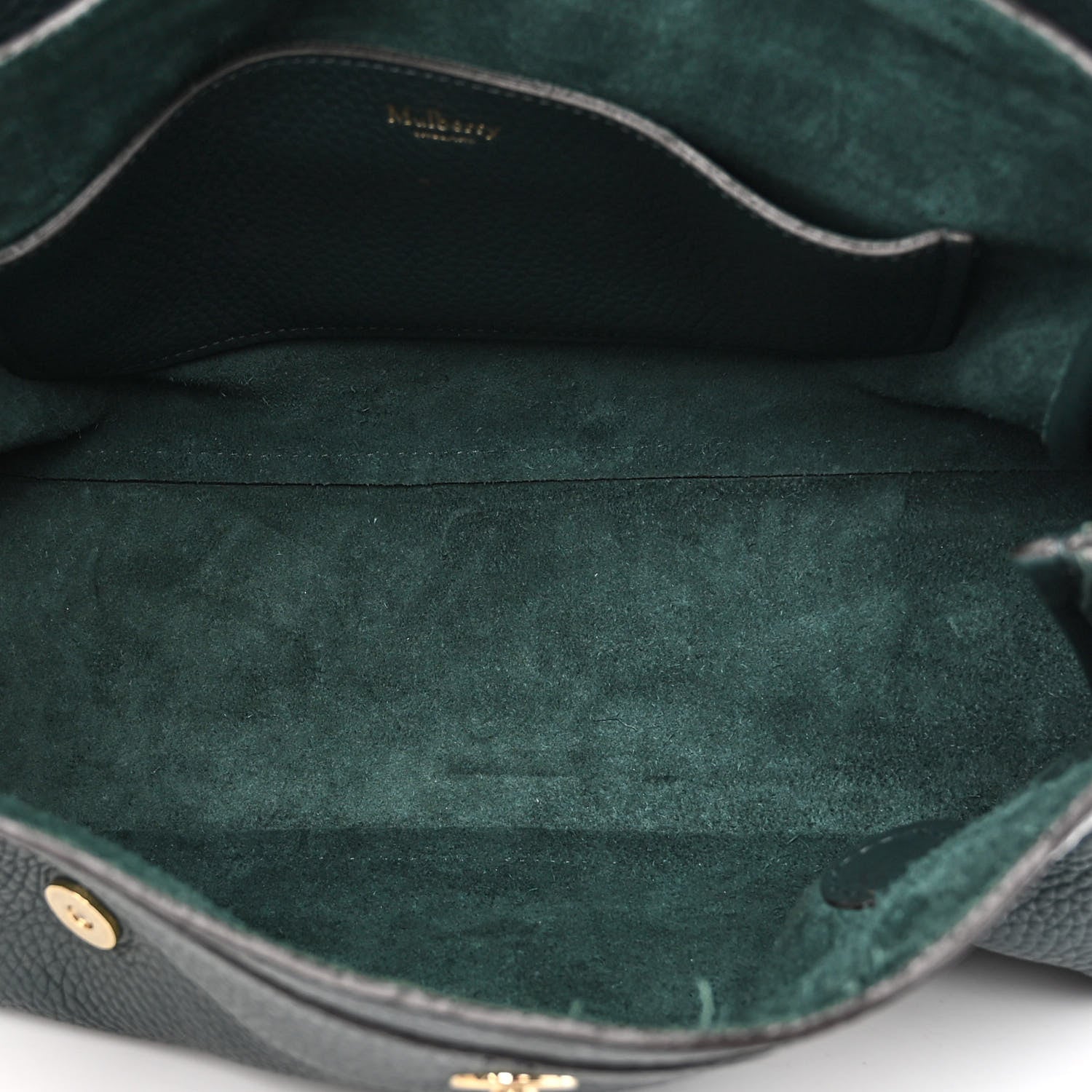 Mulberry Heavy Grain Mini Alexa Green 4 of 8