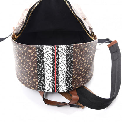 Burberry E-Canvas Monogram Stripe Backpack Bridle Brown 4 of 8