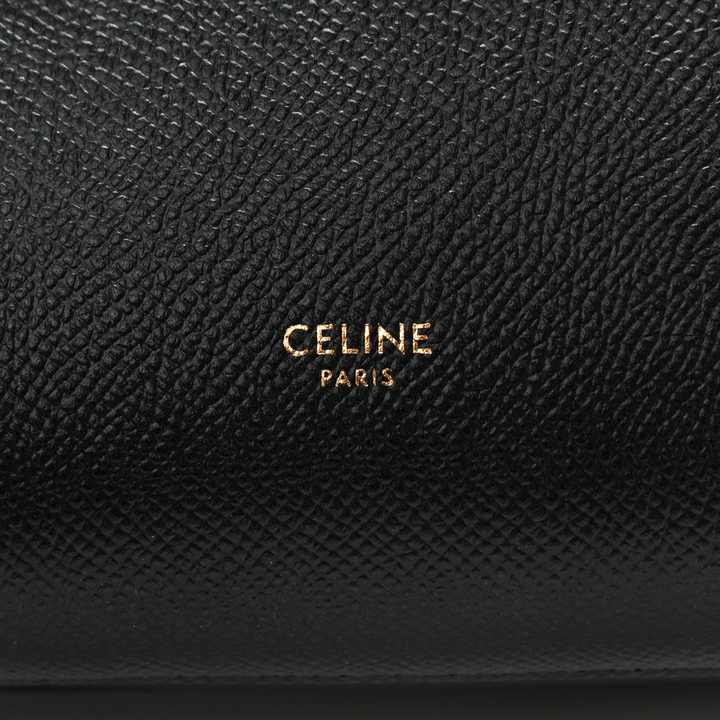 Grained Calfskin Nano Belt Bag Black