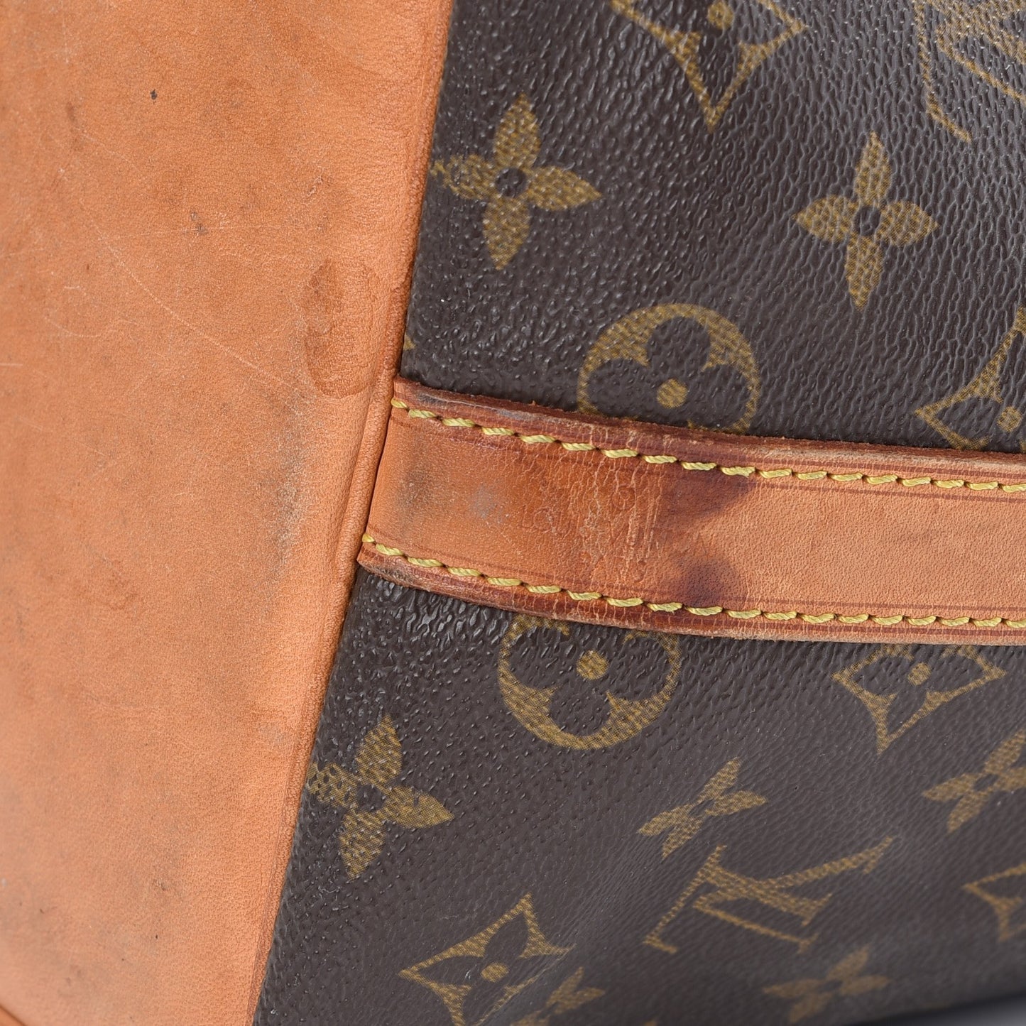 Monogram Petit Noe