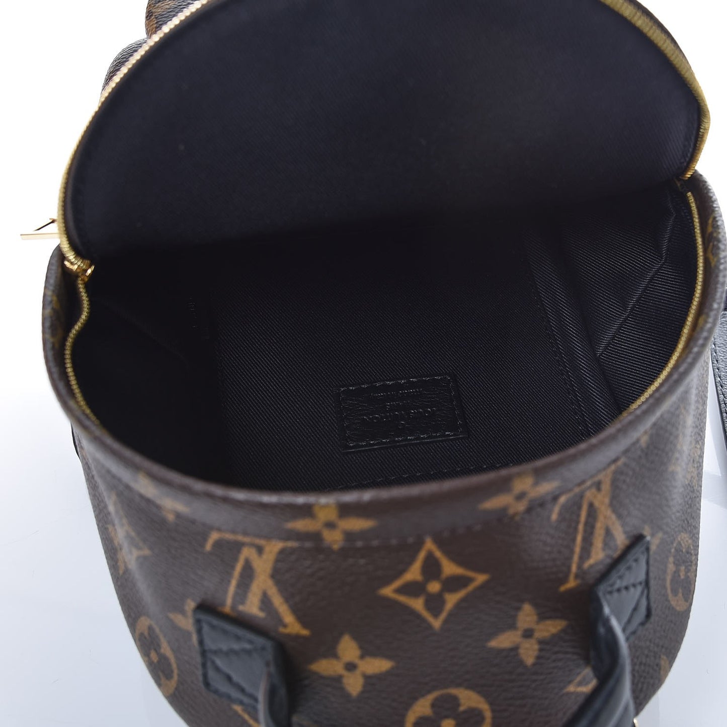 Monogram Palm Springs Backpack Mini