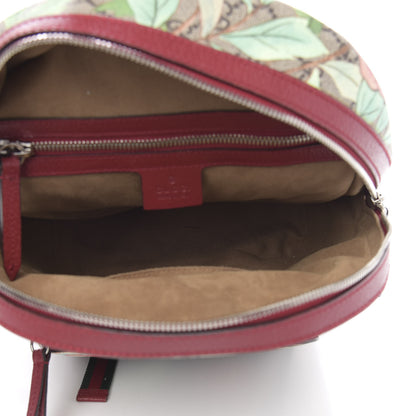 Gucci GG Supreme Monogram Tian Web Small Day Backpack Beige Multicolor Red 4 of 11
