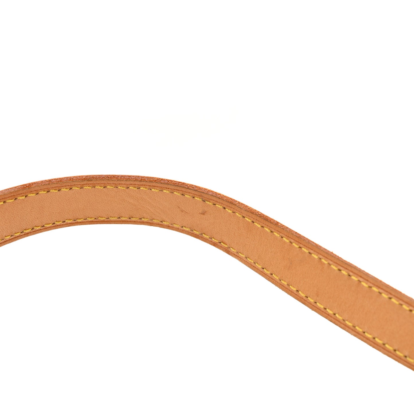 Monogram Ellipse GM Shopping Bag