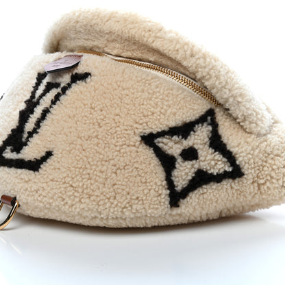 Louis Vuitton Monogram Teddy Bumbag 9 of 9