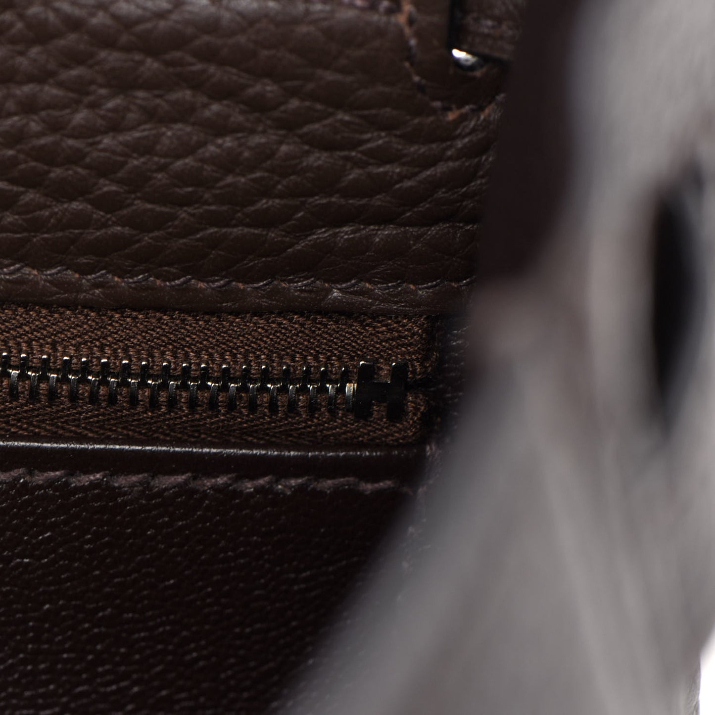 Taurillon Clemence Kelly Retourne 35 Chocolate