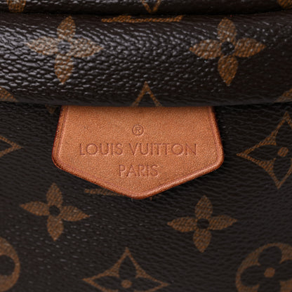 Louis Vuitton Monogram Bumbag 8 of 20
