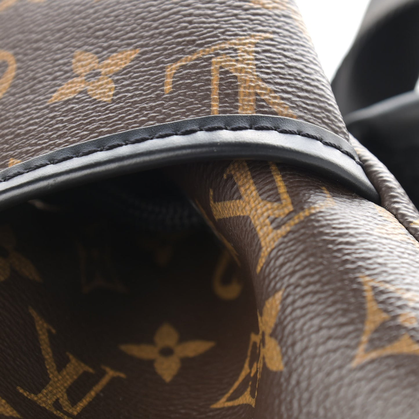 Monogram Macassar Zack Backpack
