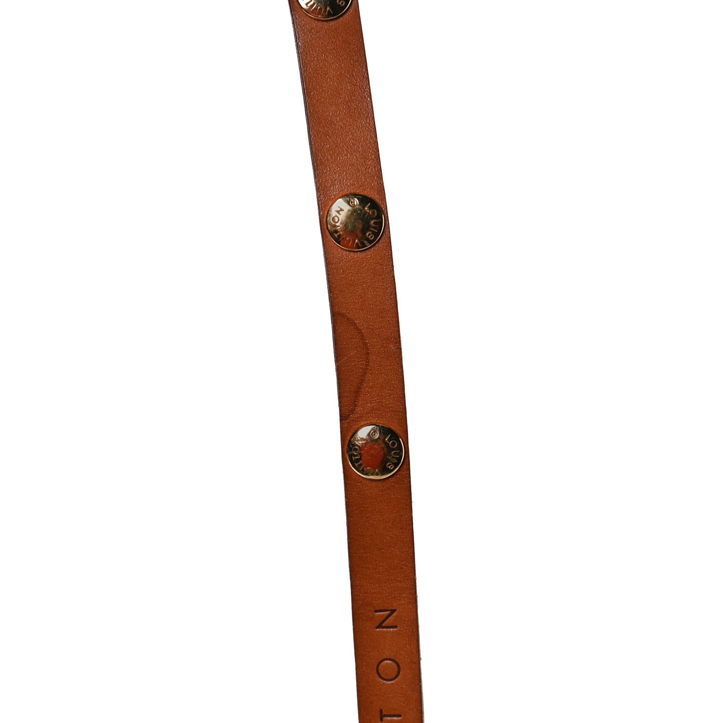 Monogram Pochette Florentine Bum Bag