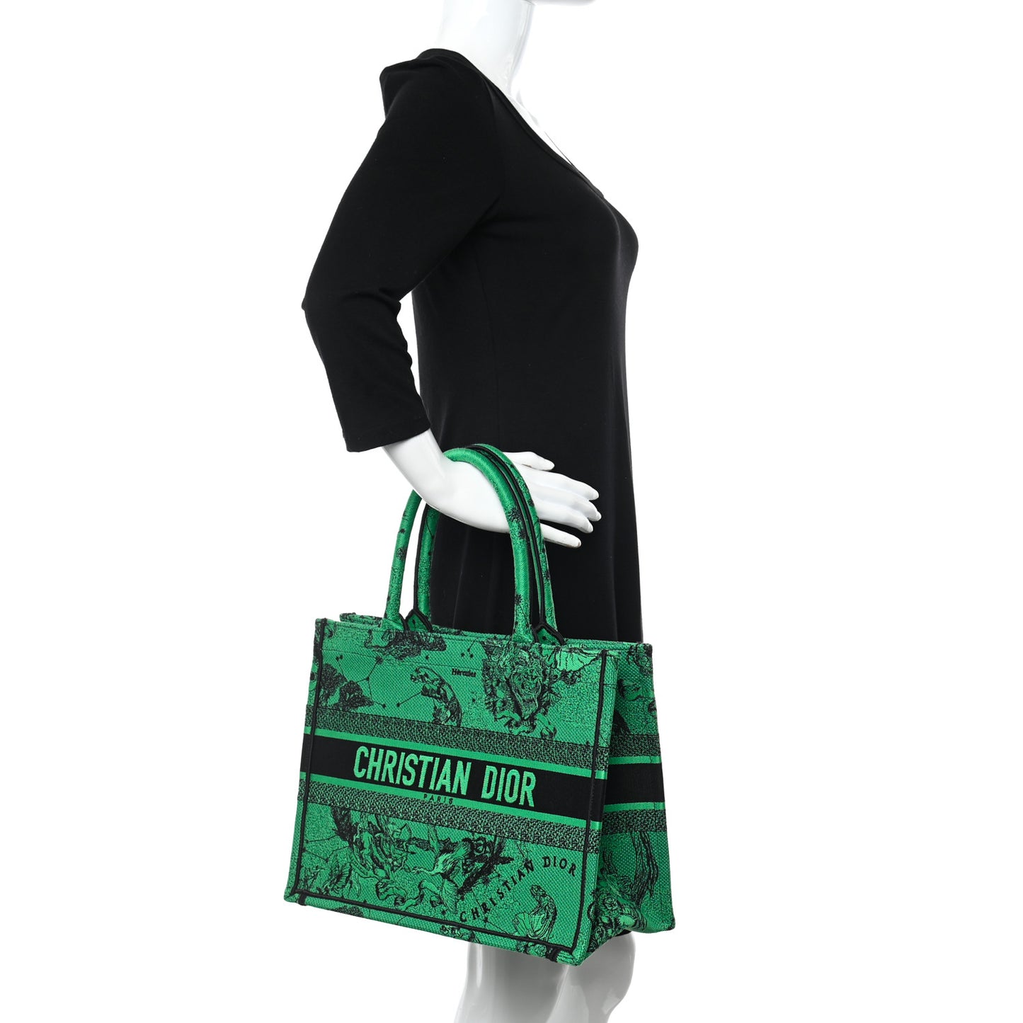 Canvas Embroidered Medium Zodiac Toile De Jouy Book Tote Green
