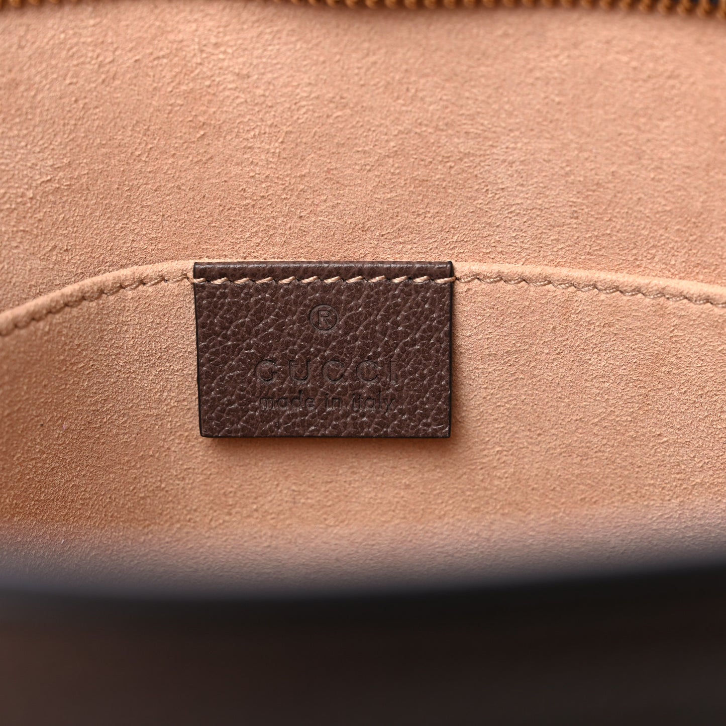GG Supreme Monogram Web Ophidia Pouch Brown