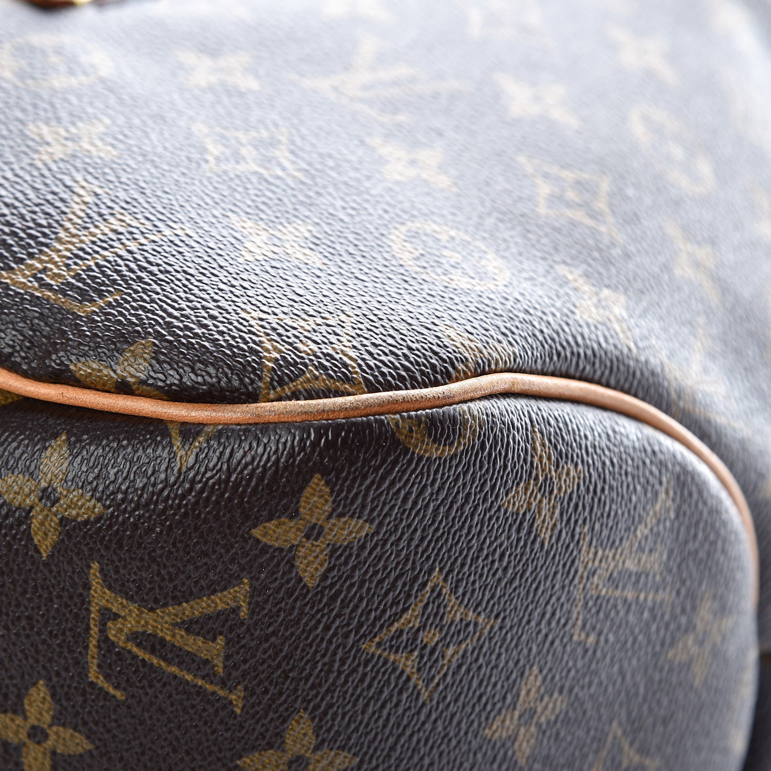 Louis Vuitton Monogram Delightful GM 15 of 20