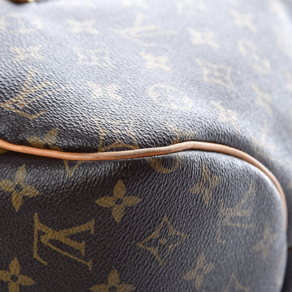 Louis Vuitton Monogram Delightful GM 15 of 20