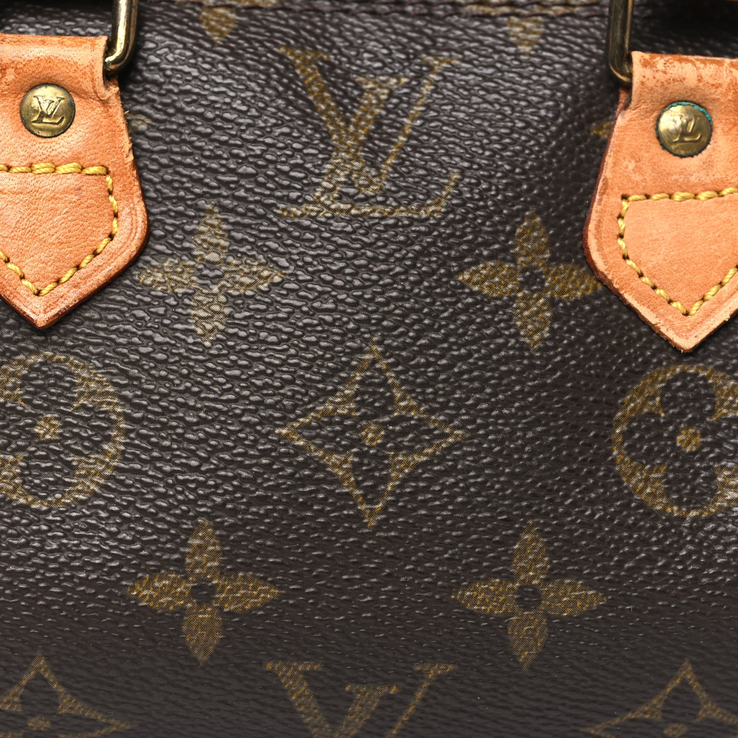 Monogram Mini Sac HL Speedy