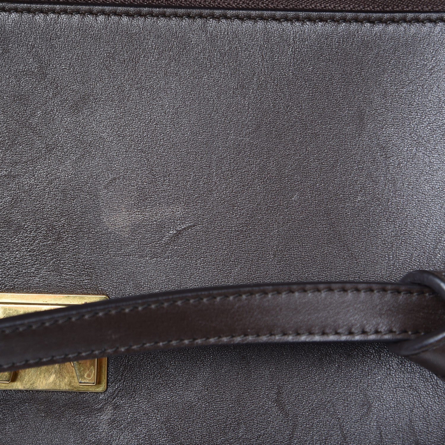 Celine Supersoft Calfskin Mini Belt Bag Wood 10 of 18