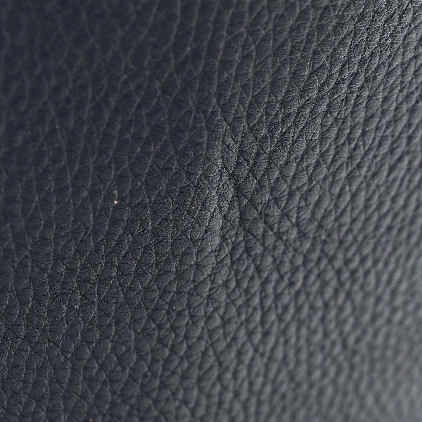 Taurillon Monogram Cobalt Cabas Voyage Marine