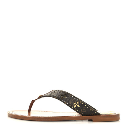 Louis Vuitton Monogram Sunny Flat Thong Sandals 37.5 Brown 1 of 8