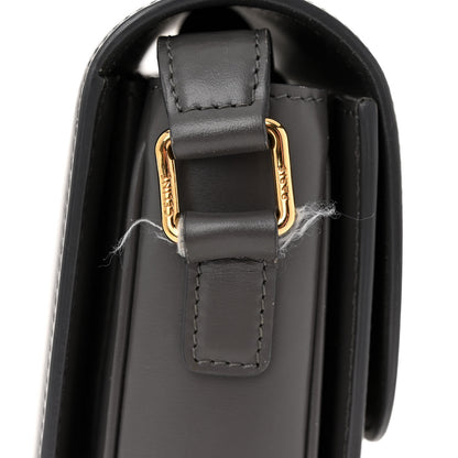 Celine Shiny Calfskin Medium Triomphe Grey 12 of 16