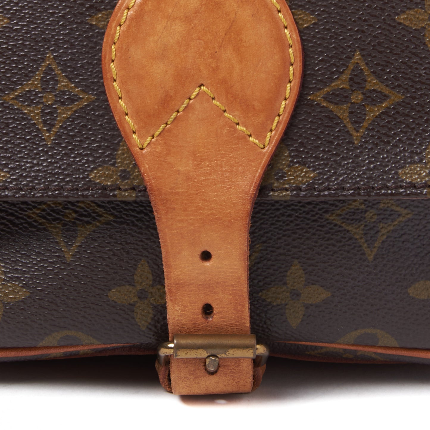 Monogram Cartouchiere 22