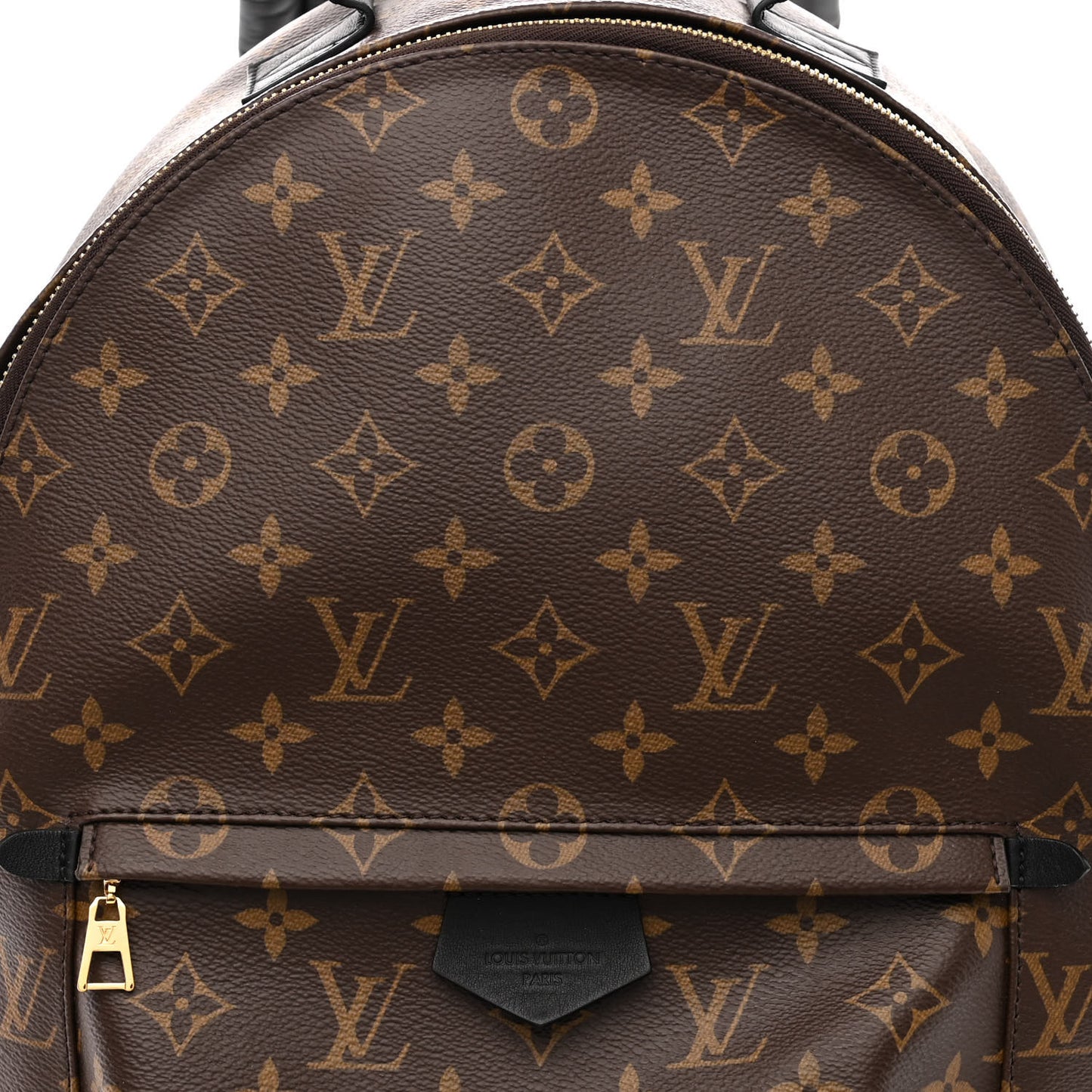 Monogram Palm Springs Backpack MM