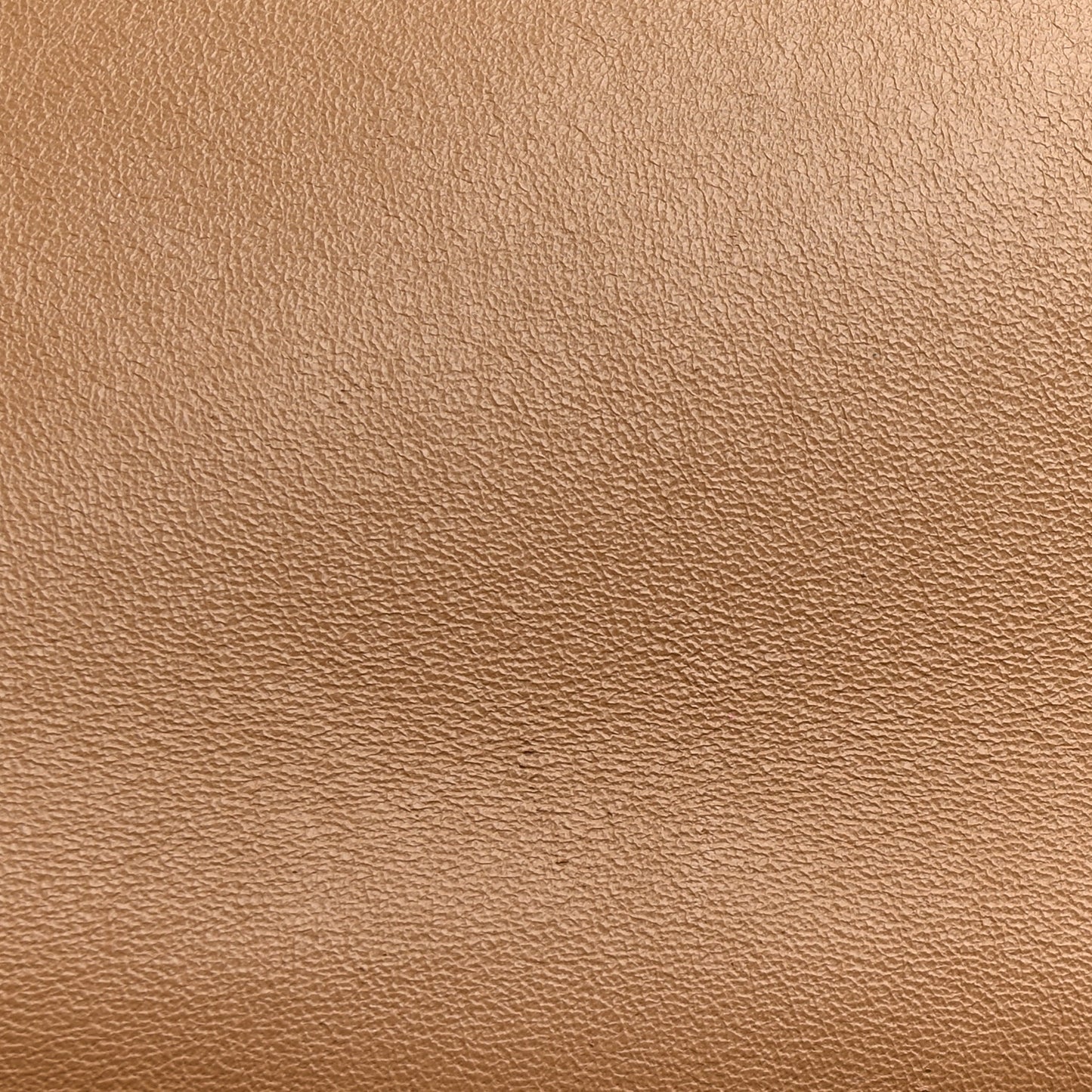 Shiny Smooth Calfskin Medium Frame Shoulder Bag Tan Optic White