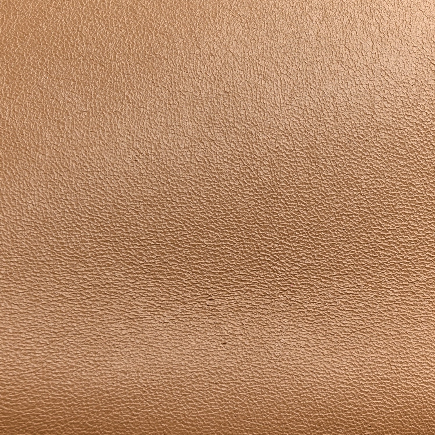 Celine Shiny Smooth Calfskin Medium Frame Shoulder Bag Tan Optic White 15 of 15