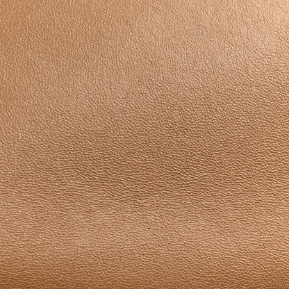 Celine Shiny Smooth Calfskin Medium Frame Shoulder Bag Tan Optic White 15 of 15