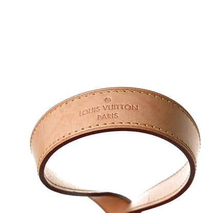 Louis Vuitton Damier Azur Riviera MM 13 of 14