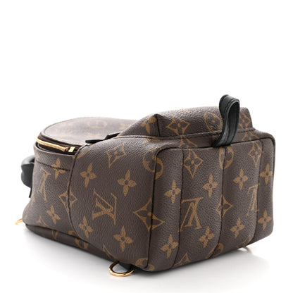 Louis Vuitton Monogram Palm Springs Backpack Mini 4 of 10