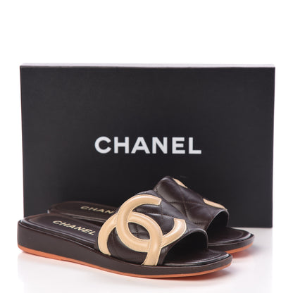 Chanel Calfskin Cambon CC Flat Slide Sandals 37 Dark Brown 12 of 12