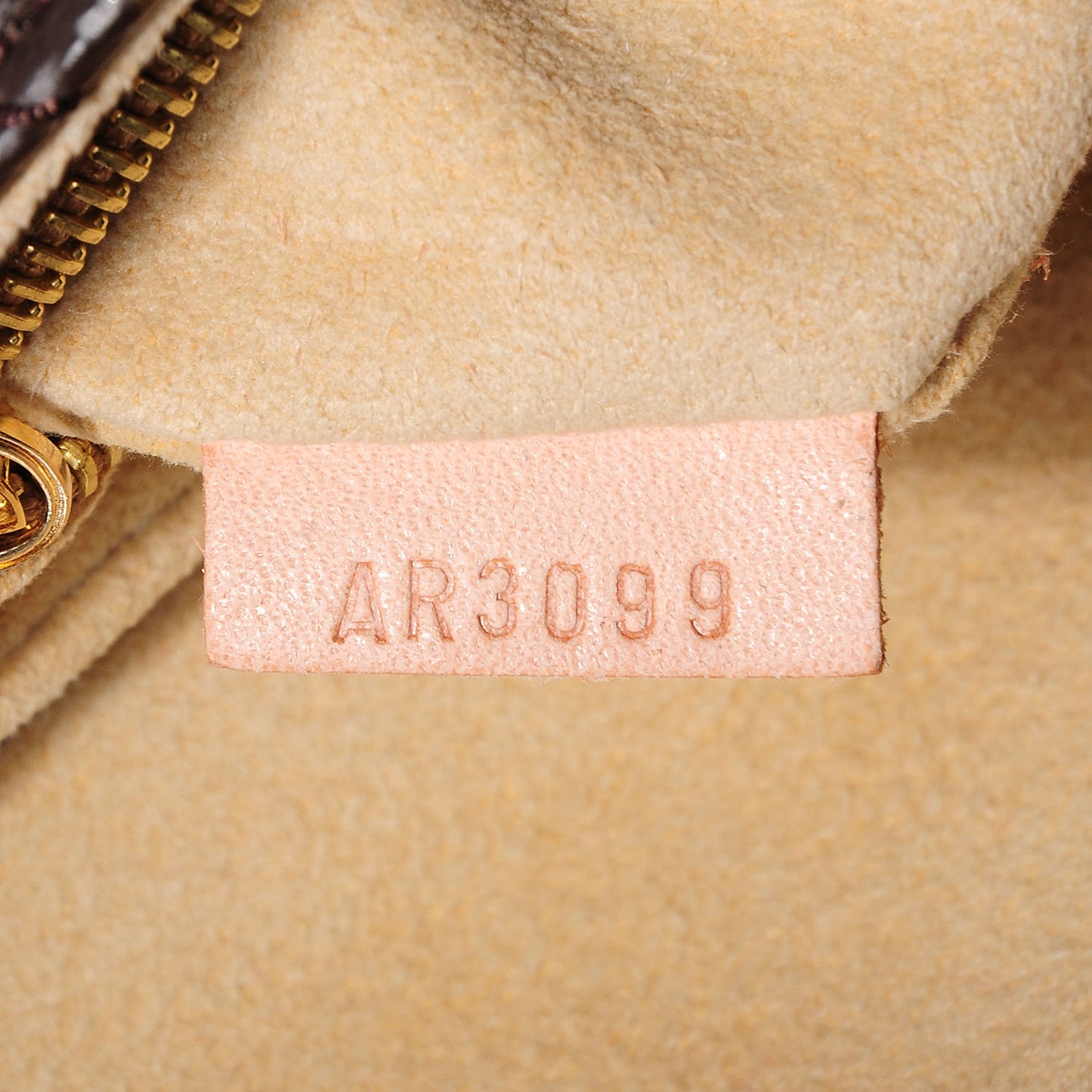 Monogram Etoile Clutch
