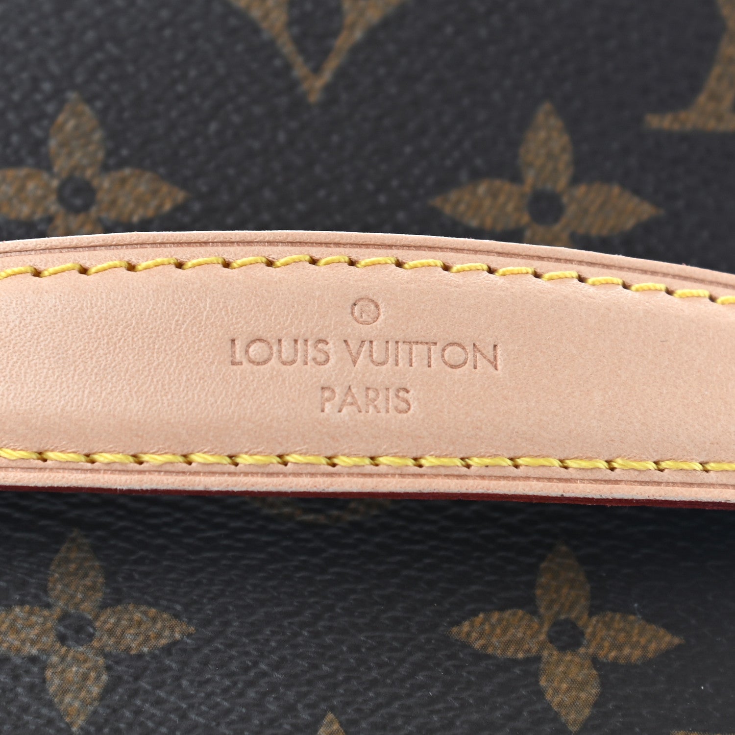 Louis Vuitton Monogram Nice Mini 8 of 9