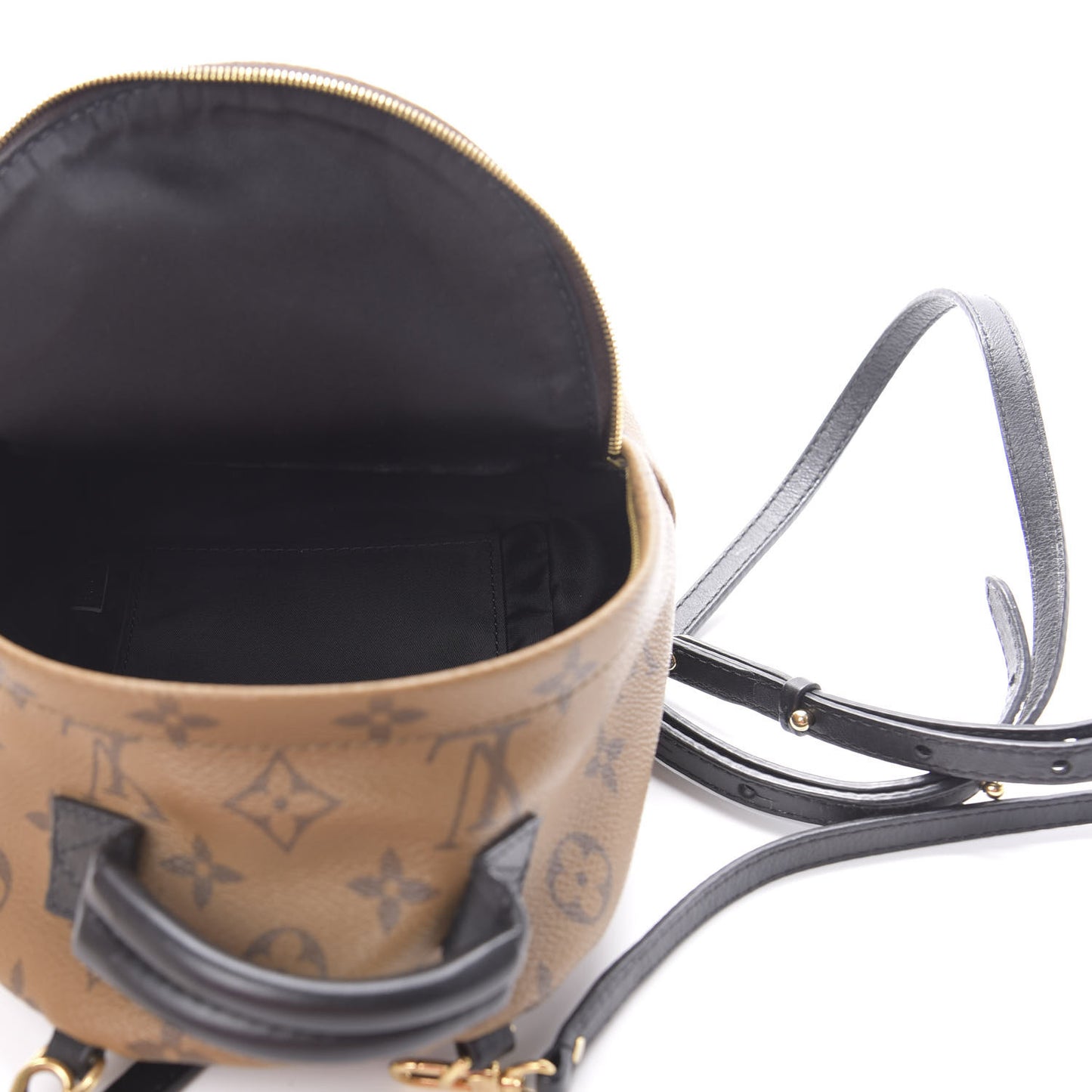Reverse Monogram Palm Springs Backpack Mini
