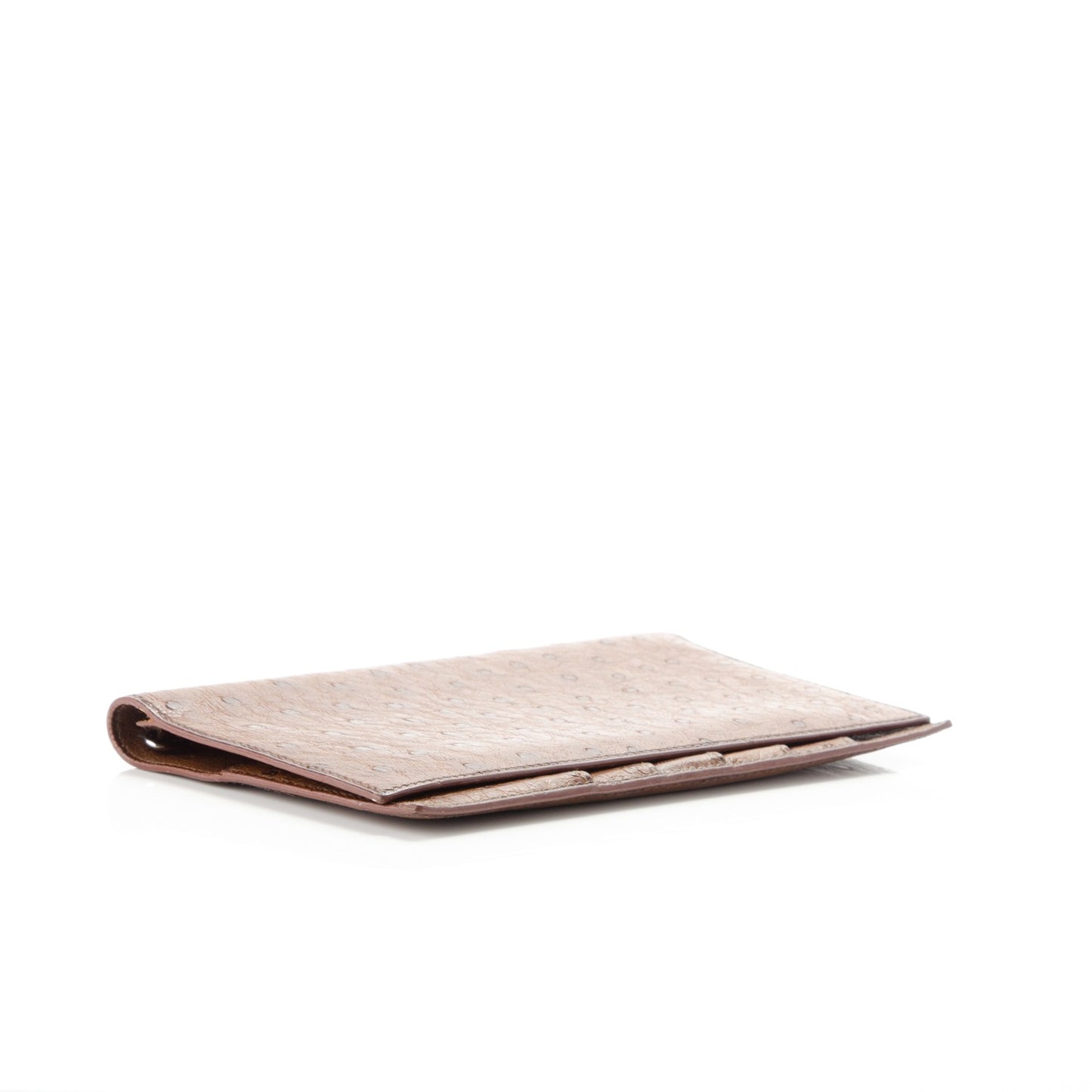 Ostrich Vision Agenda Cover