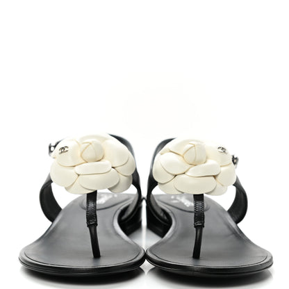 Chanel Lambskin Camellia Thong Sandals 36.5 Black White 2 of 9