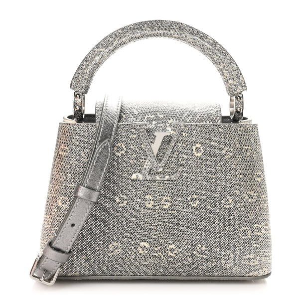 Louis Vuitton Lizard Mini Capucines Argento 1717161 – FASHIONPHILE